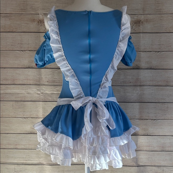 Alice in Wonderland Costume - Picture 3 of 4